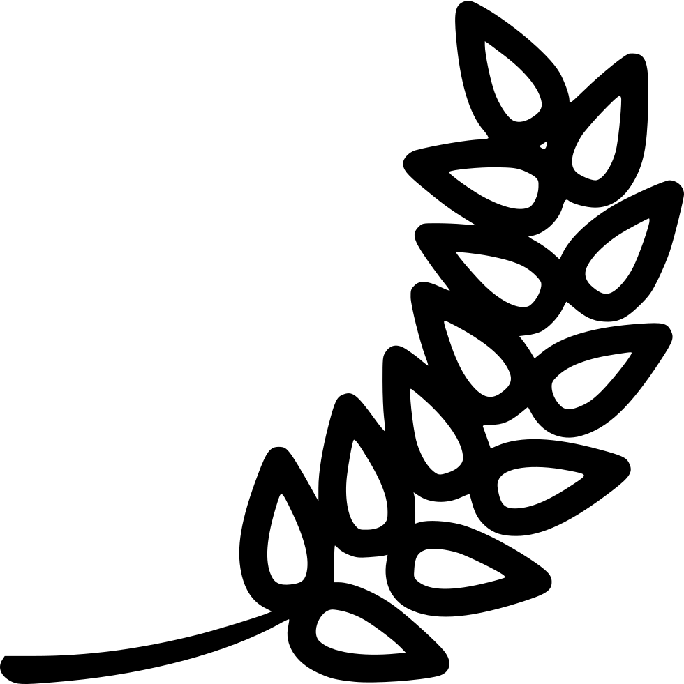 Barley Comments - Barley Icon (980x981), Png Download