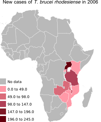 New Cases Of Rhodesiense In - African Union (337x406), Png Download