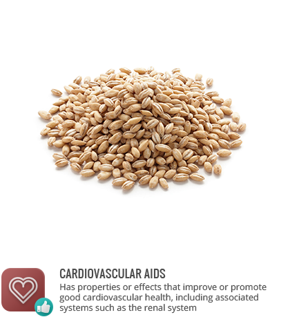 Antioxidants - Uses Of Dates Fruit In Tamil By Prophet Muhammad (420x459), Png Download