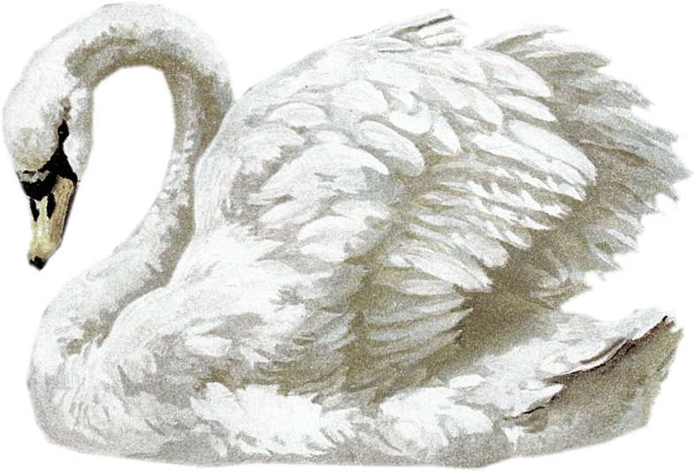 A Few Nice Freebies On This Site - Paper (800x545), Png Download