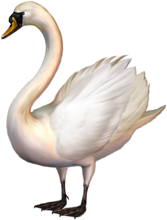 Swan Clipart Png (424x514), Png Download