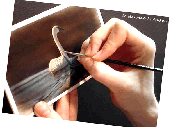 Working On A Trumpeter Swan - Paintings Of Nature (588x437), Png Download