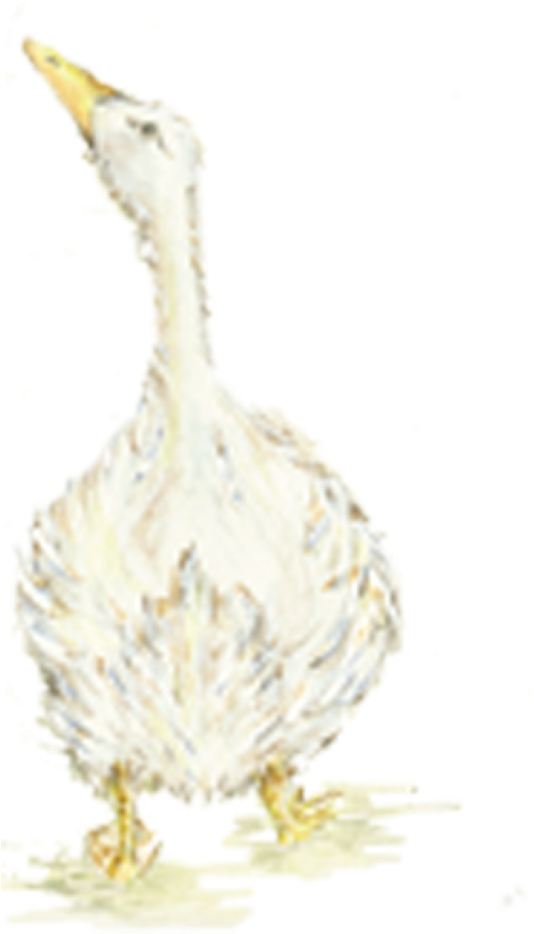 View Larger Image - Goose (690x1095), Png Download