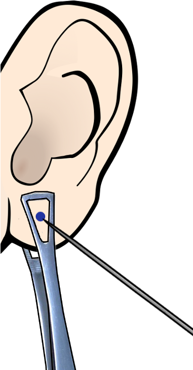 Piercing Ear Clipart - Ear (384x733), Png Download