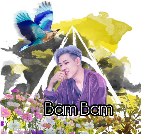 Vintage Photography (480x480), Png Download