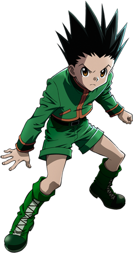 Http - //img1 - Wikia - Nocookie - Net/ /images/f/f8/gonpr - Hunter X Hunter Gon (291x514), Png Download
