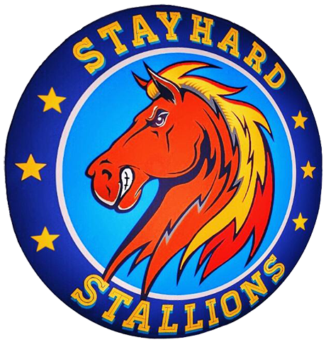 Stayhard Stallions - Mustang Horse (500x500), Png Download
