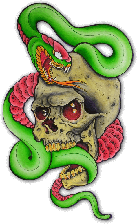 About Us - Skull (479x776), Png Download