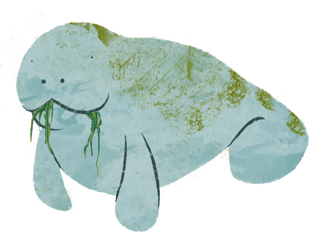 And In The Spirit Of Christmas And Gift Giving I Thought - Drawing (626x492), Png Download