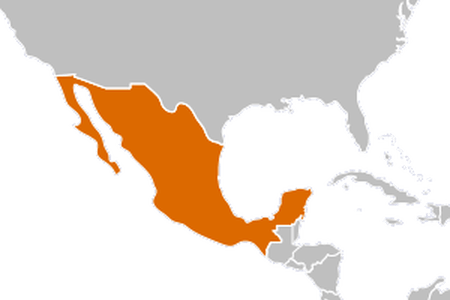 19 Mexico Vector Map Huge Freebie Download For Powerpoint - Mexico Canada Usa Mapa (450x300), Png Download