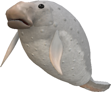 Manatee - Marine Mammal (1280x960), Png Download