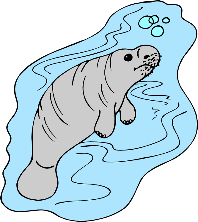 Manatee Clipart Cliparts And Others Art Inspiration - Manatee (700x750), Png Download