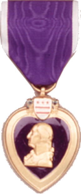 Gold Medal (260x621), Png Download