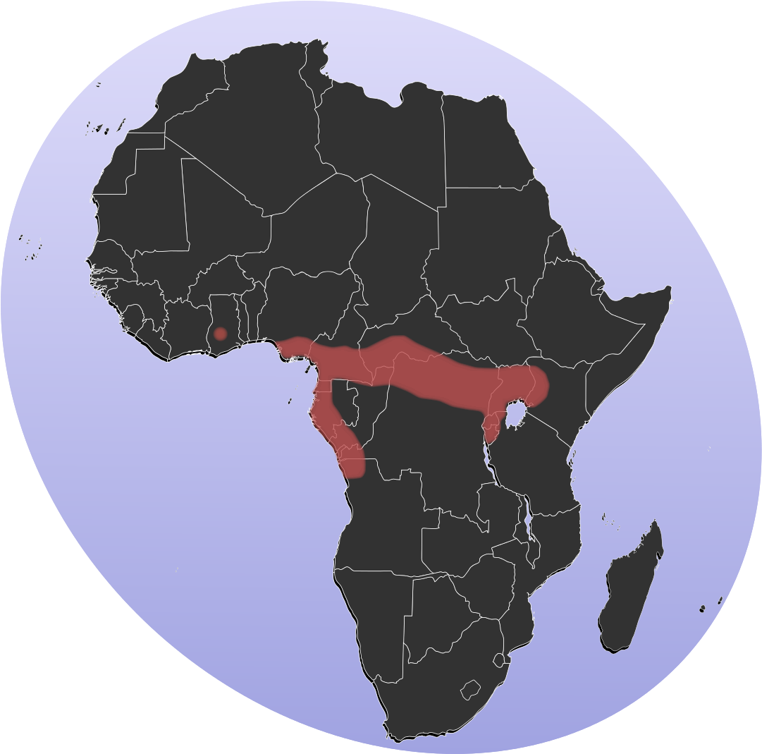 P-africa Gold's Tree Cobra Area - Liberia In Africa Map (1123x1105), Png Download