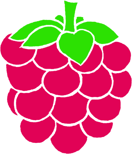 28 Collection Of Raspberry Drawing Png - Raspberry Drawing Png (800x670), Png Download