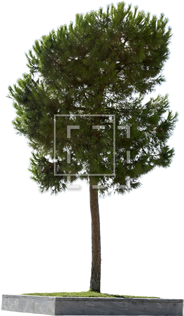 Parent Category - Concrete (450x450), Png Download