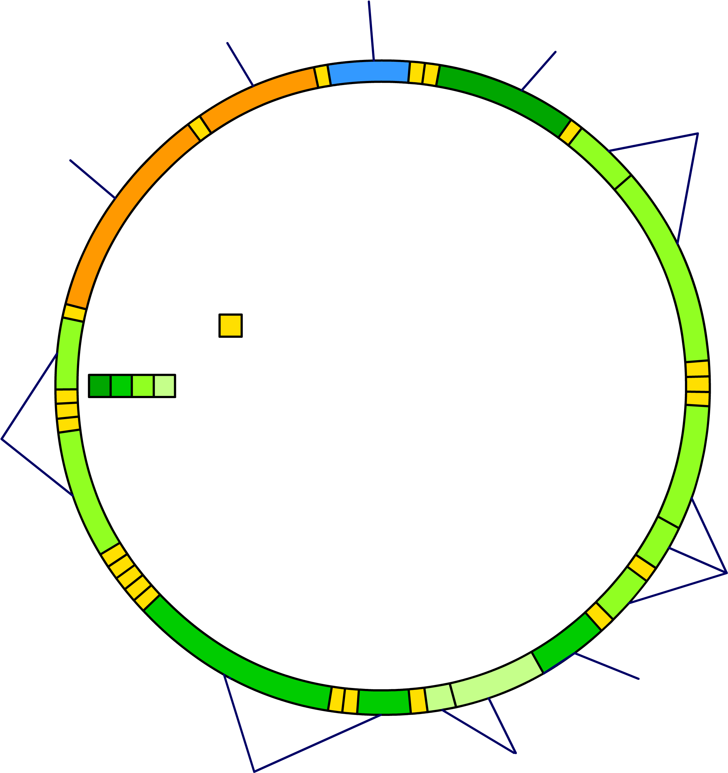 Mitochondrial Dna Blank - Mitochondrial Dna (2333x2476), Png Download