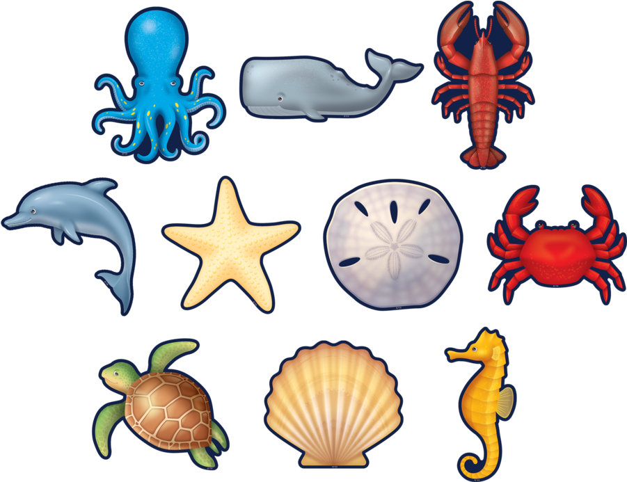 Tcr8895 Nautical Sea Life Accents Image - Classroom (900x900), Png Download