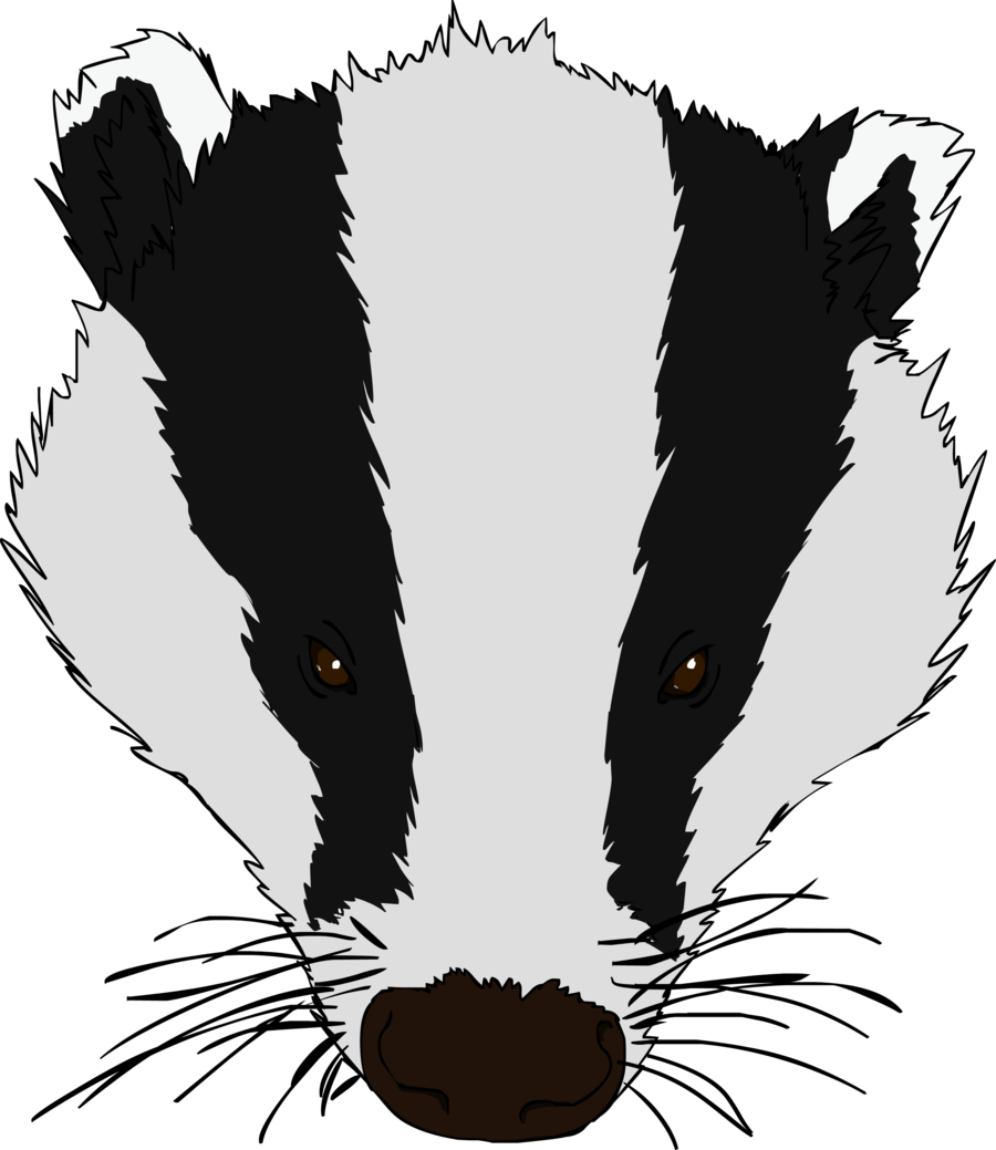 Svg Royalty Free Stock Top Free Image - Badger Head Clip Art (900x1039), Png Download