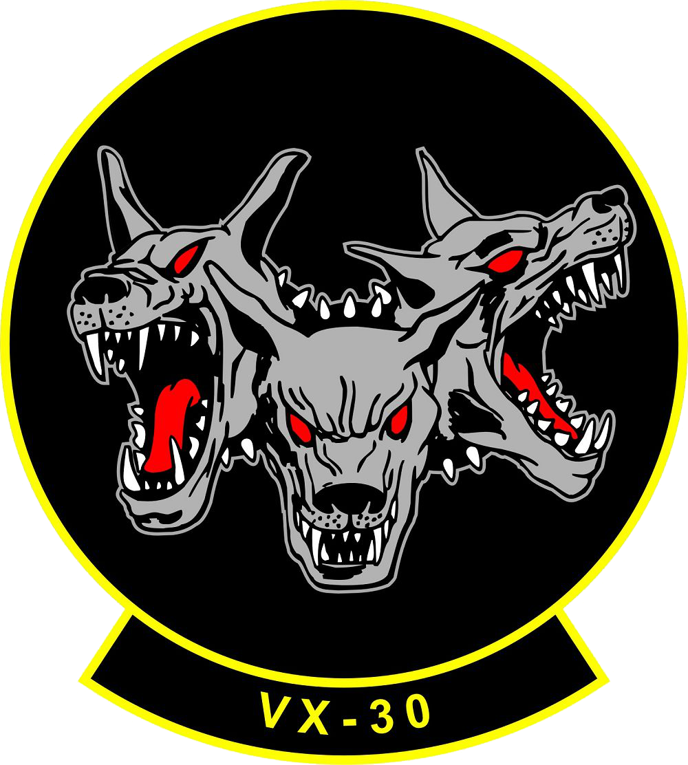 Air Test And Evaluation Squadron 30 Insignia, - Vx 30 Bloodhounds (1000x1112), Png Download