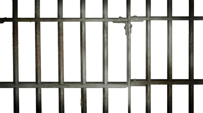 Barreaux De Prison Png - Barreaux De Prisons Png (701x391), Png Download