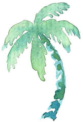 Half-day Prison Island Tour From Stonetown2017 - Blue Watercolor Palm Frond (362x494), Png Download