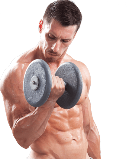 My Experience Muscle - Muscle Force (427x524), Png Download