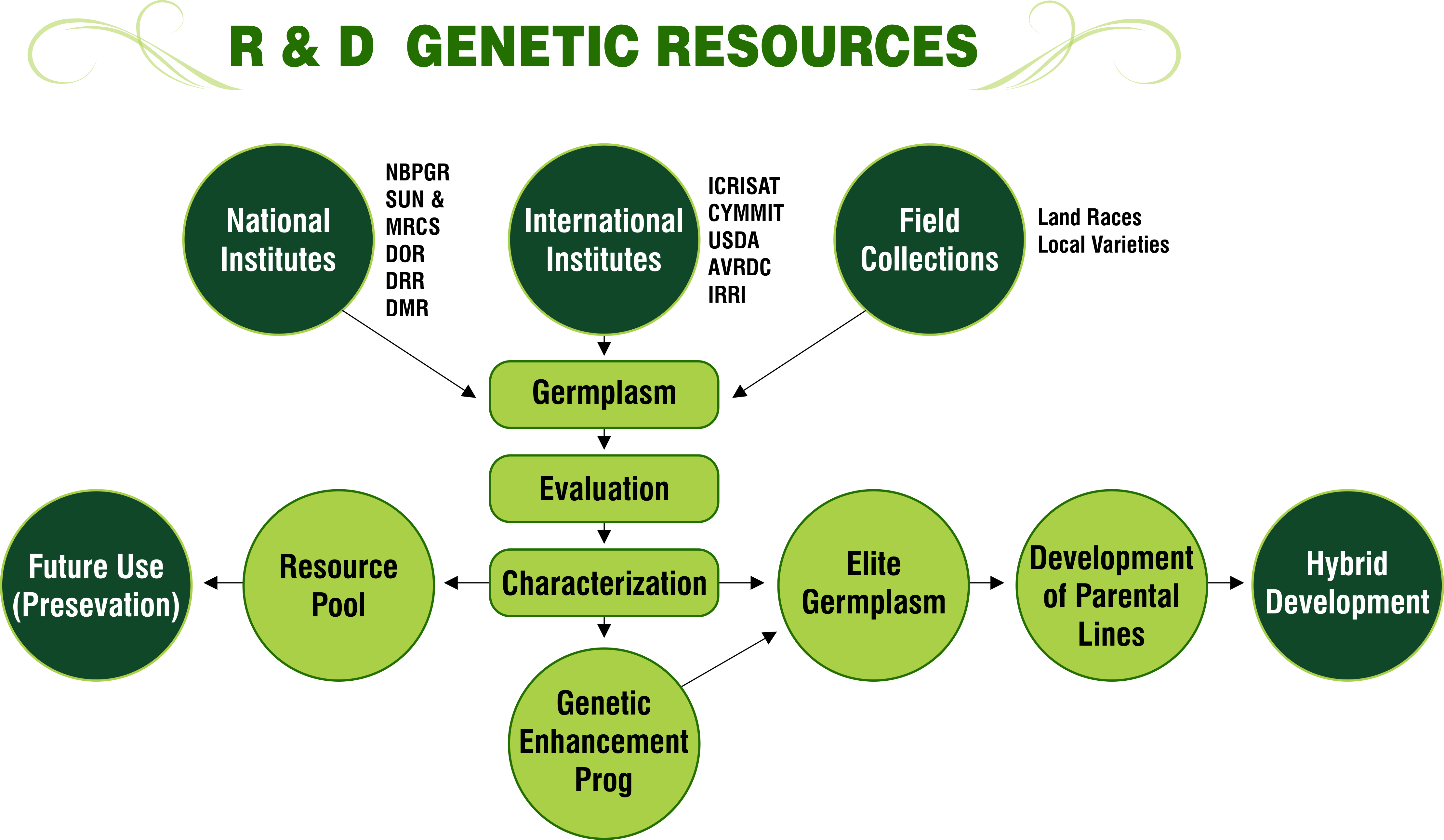 R & D Genetic Resources Png - Genetic Resources (4441x2584), Png Download