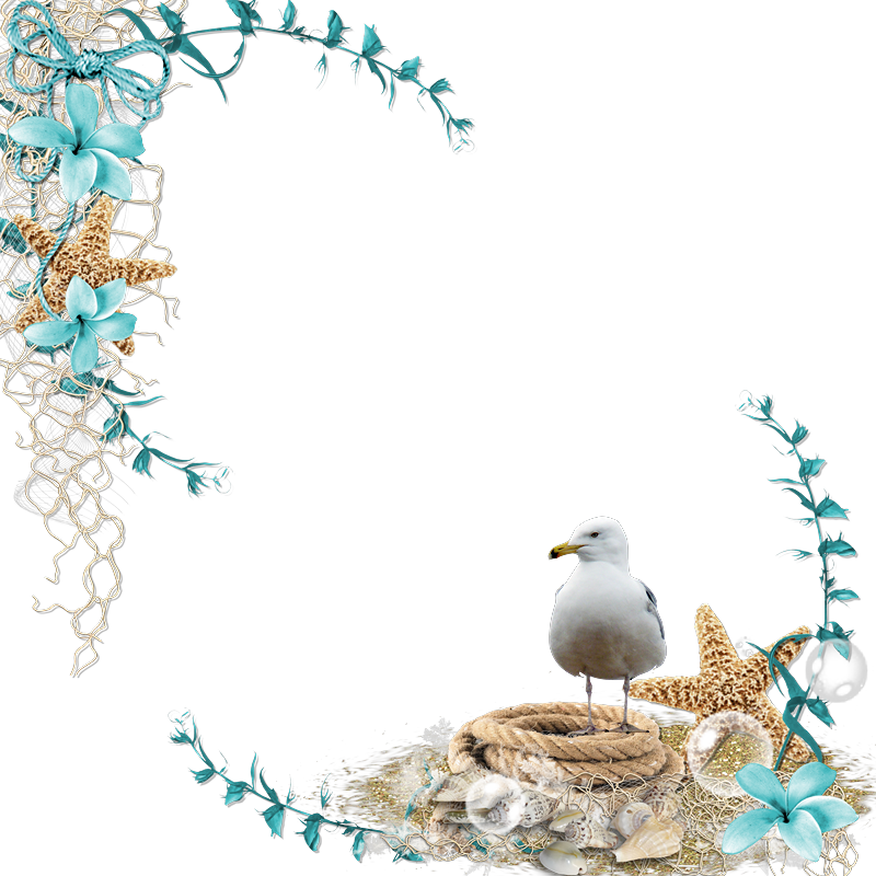 Beach 2017, Digital Scrapbooking Freebies, Scrapbooking - Bordure De Page Plage (800x800), Png Download