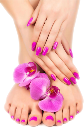 Manicure Pedicure Wycombe Manicure And Pedicure Offer Full Size Png Download Seekpng