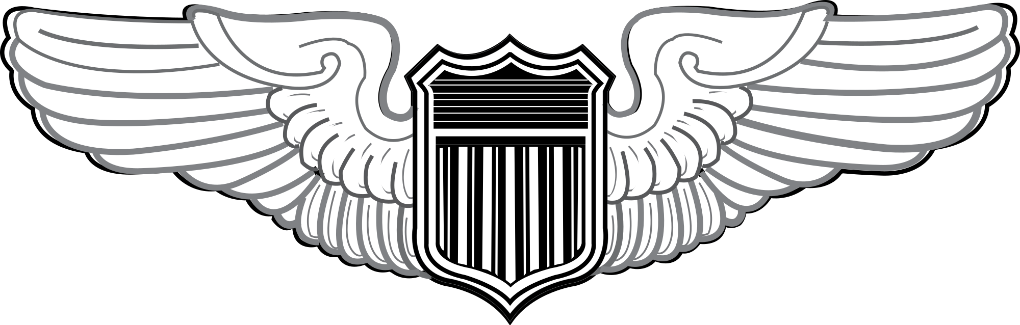 Military Badges Of The U - Air Force Nav Wings (2000x638), Png Download
