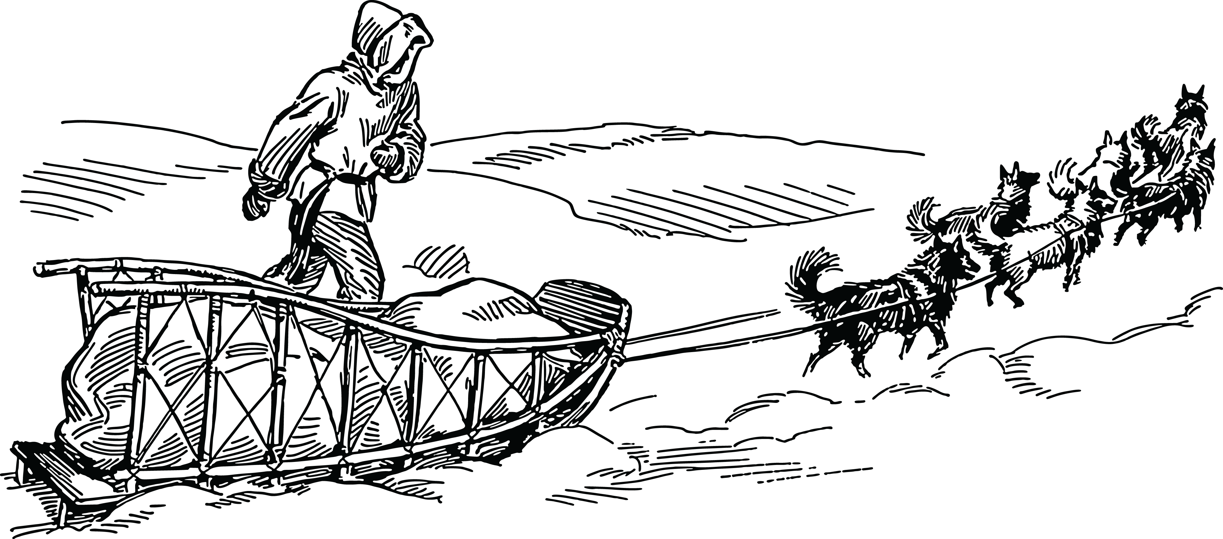 Siberian Husky Alaskan Husky Iditarod Trail Sled Dog - Drawing Of A Dog Sled (1703x750), Png Download