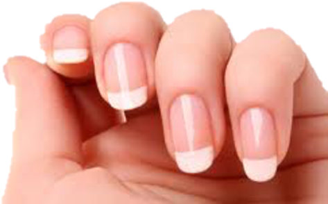 An Environmentally Friendly Spa - French Manicure (535x350), Png Download