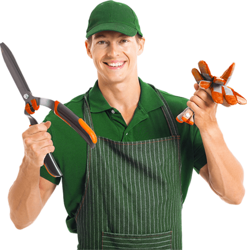 Gardener' S - Gardener Png (493x500), Png Download