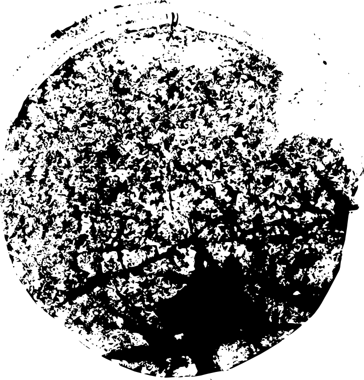 Grunge Circle Frame Png Download - Portable Network Graphics (723x755), Png Download