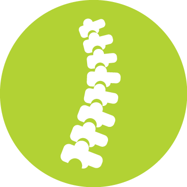 Spinal Cord Surgery - Spinal Cord Logo Png (367x367), Png Download