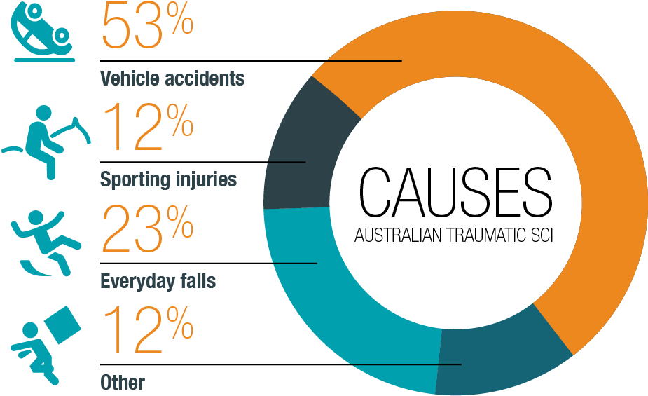 The Annual Cost Burden Of Spinal Cord Injury In Australia - Sports (1067x800), Png Download