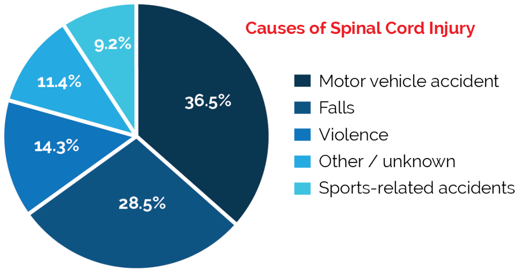 Spinal Cord Injury Causes - Airport Management (1024x536), Png Download