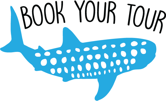 Of These Whales, And You'll Be Able To Accompany Them (580x354), Png Download