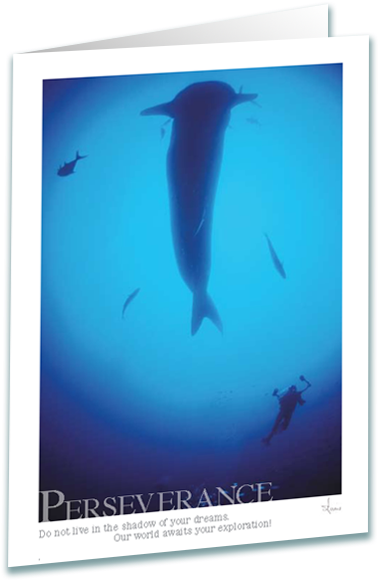 Whale Shark Greeting Card - Underwater (425x600), Png Download