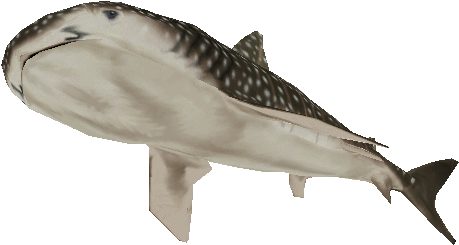 Download Zip Archive - Great White Shark (750x650), Png Download