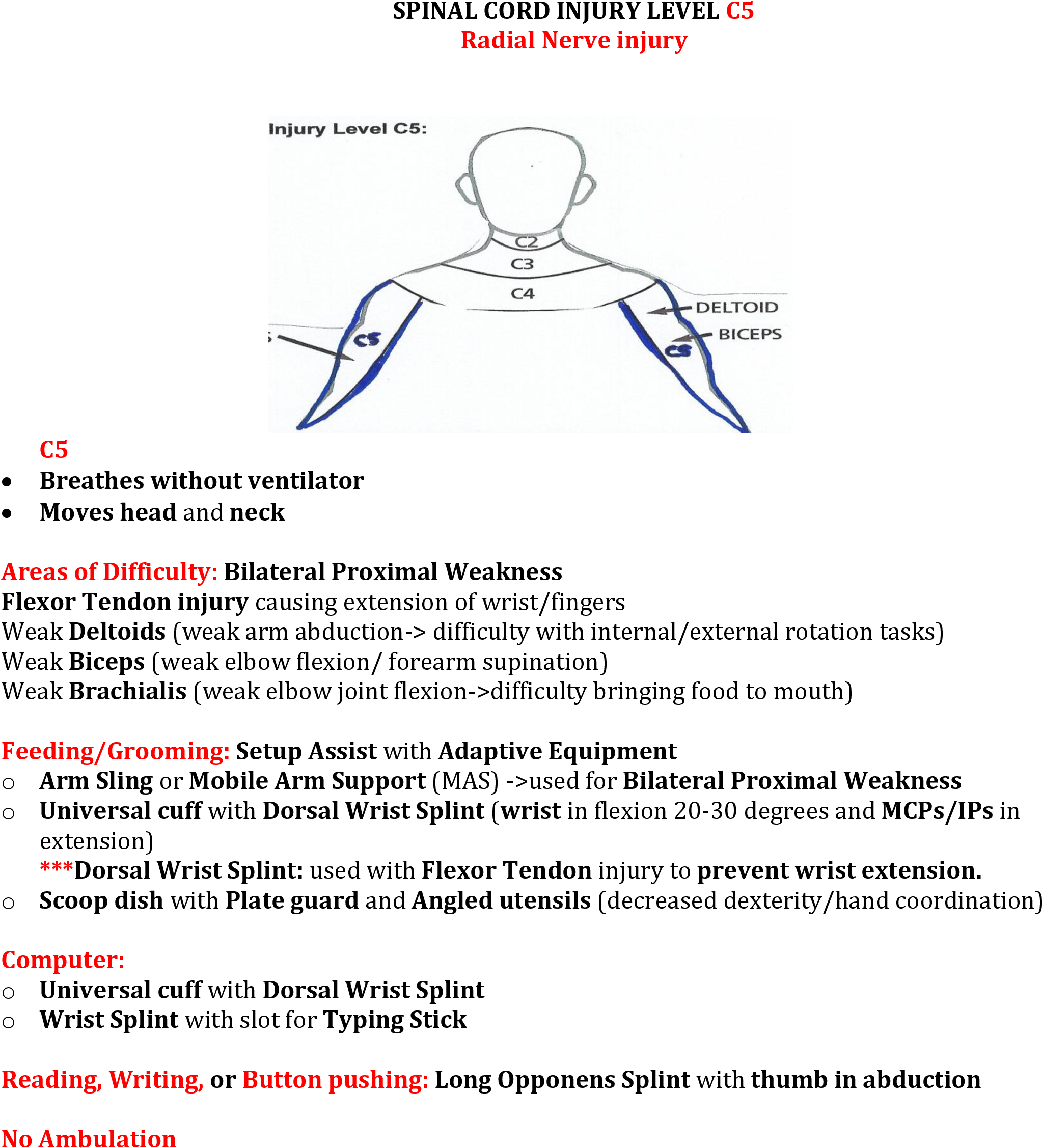 Spinal Cord Injuries - Occupational Therapy (2550x3300), Png Download