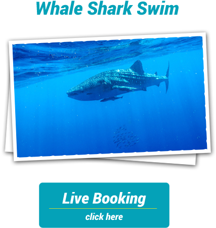 For All Information Please Call 08 9949 1208 Or Complete - Ocean (502x508), Png Download