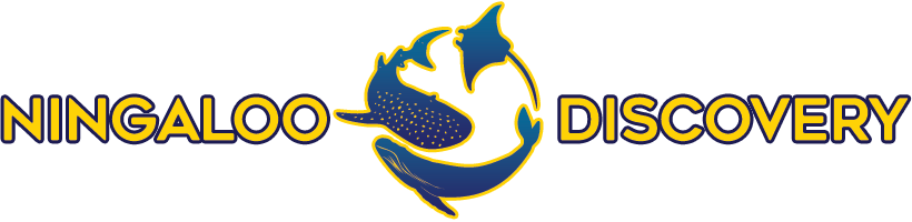 Exmouth Whale Shark Tours - Whale Shark Logo (820x200), Png Download