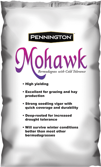 Mohawk Bermuda (600x600), Png Download