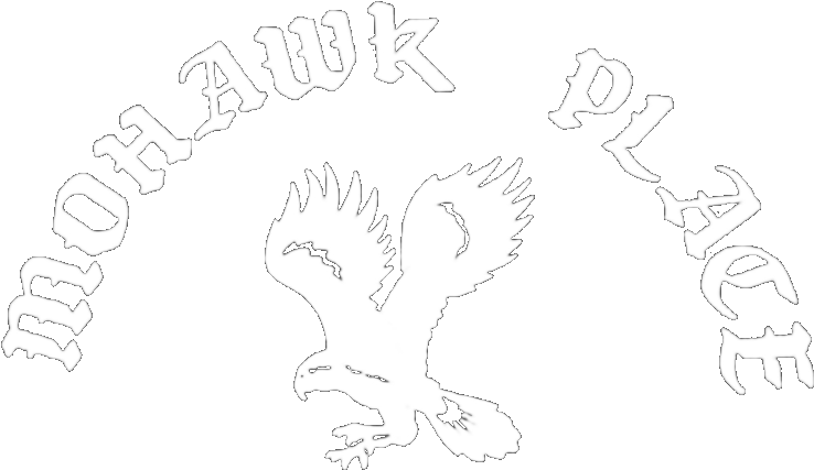 Buffalo's Mohawk Place (900x600), Png Download