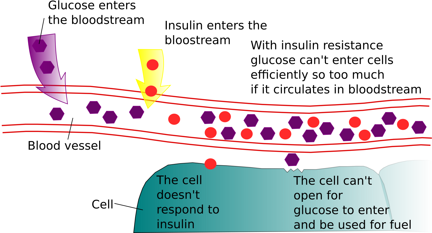 This Free Icons Png Design Of Diabetes And Insulin (1697x2400), Png Download
