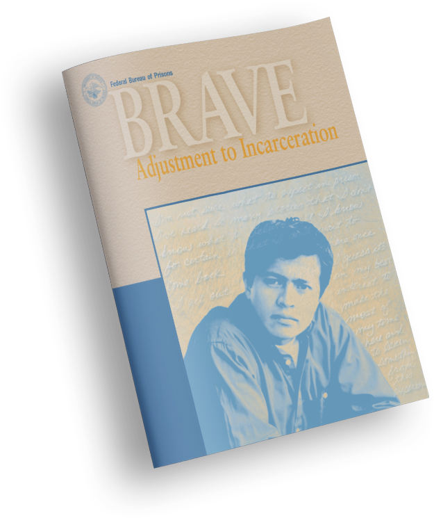 Brave Adjustment To Incarceration - Book Cover (751x799), Png Download