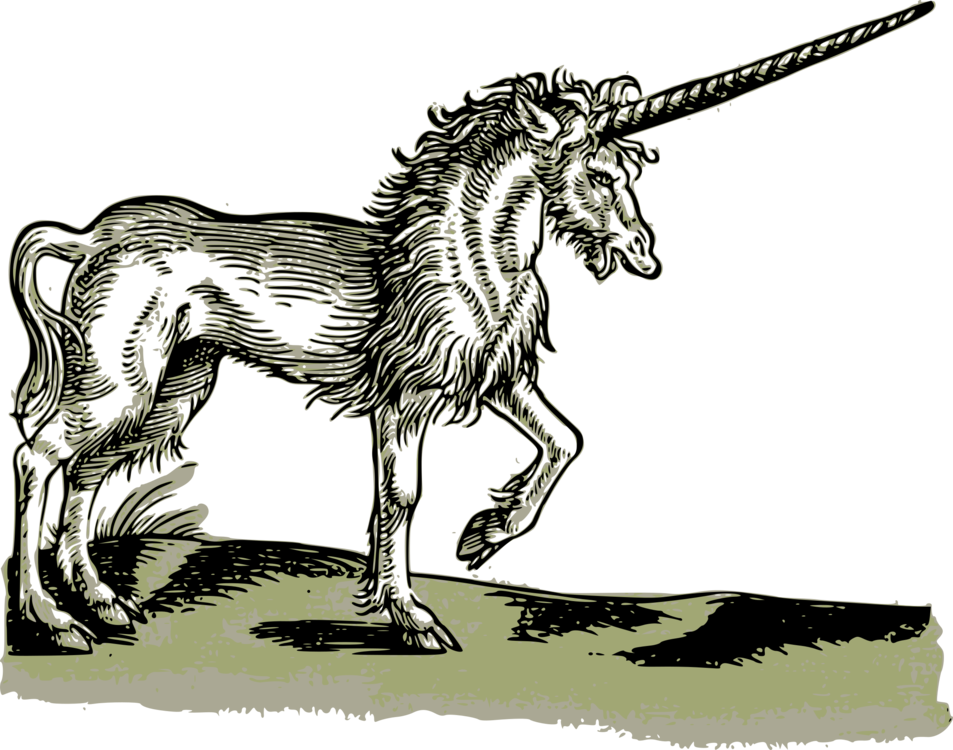 Unicorn Historia Animalium Legendary Creature Medieval - Monsters And Dragons By Johanna Lehner & Ernst (432x340), Png Download