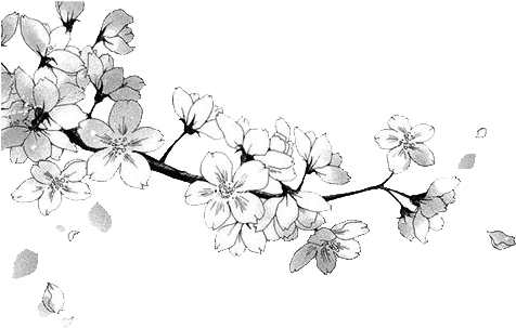 Manga Flower Render Dby Domicoamv-daficnv - Fiction (500x345), Png Download